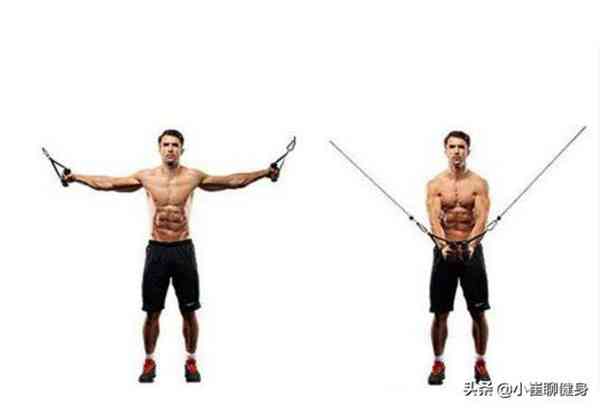 如何练出发达的胸肌?全面剖析,手把手教你练出完美胸肌