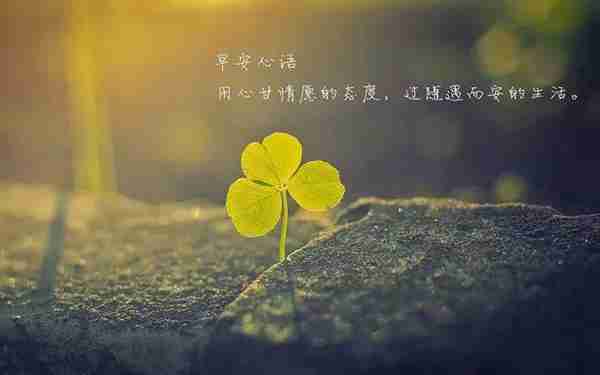 siri怎么用捷径合组织（siri无法运行捷径）