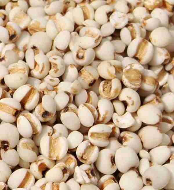 薏米粉怎么吃正确（薏米粉生吃减肥吗）