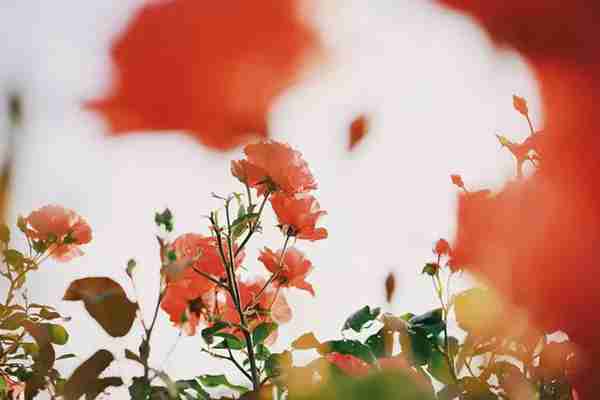 新闻写作:写好评论四步走