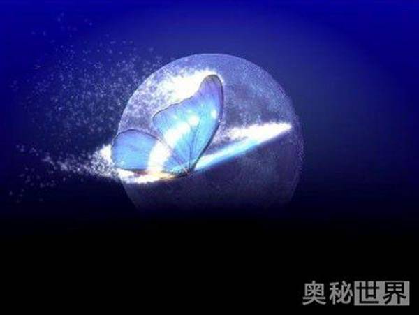 什么是蝴蝶效应（实际中真的存在吗）