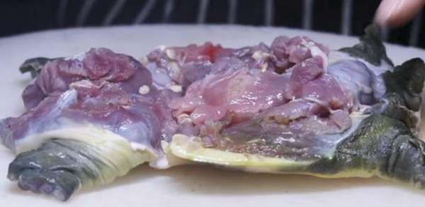 不知道甲鱼怎么吃？教你一招，甲鱼最好吃的做法