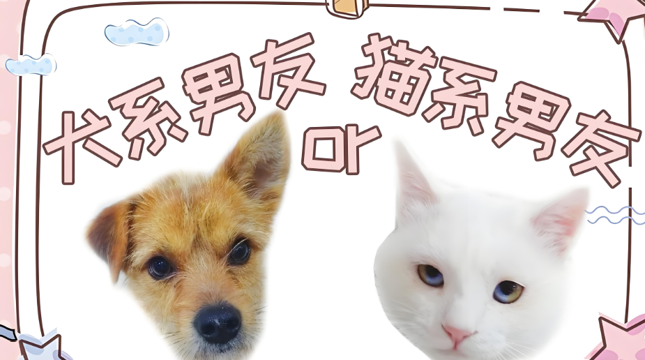 犬系男友和猫系男友是什么意思(带您领会犬系男友和猫系男友的意思内涵)