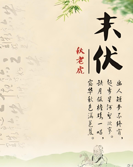 末伏是什么意思(带您真正理解末伏的意思)
