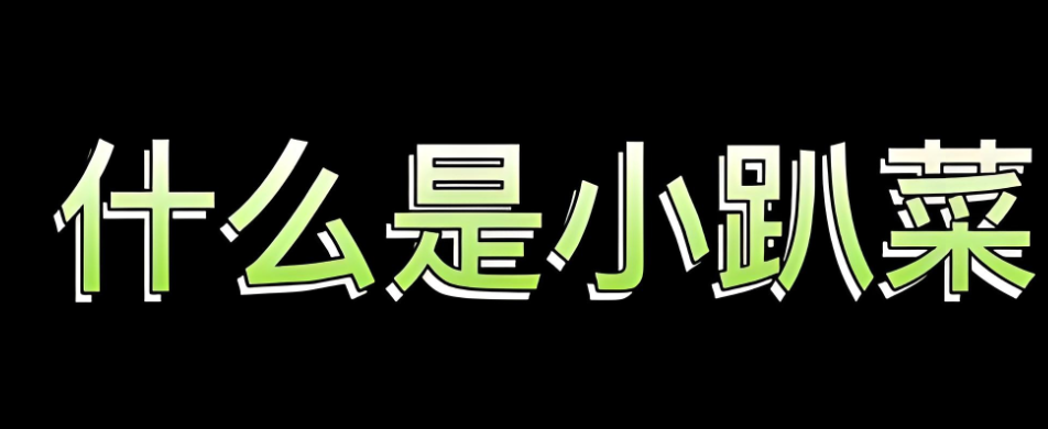 小趴菜是什么意思,它反映了怎样的社交心态?