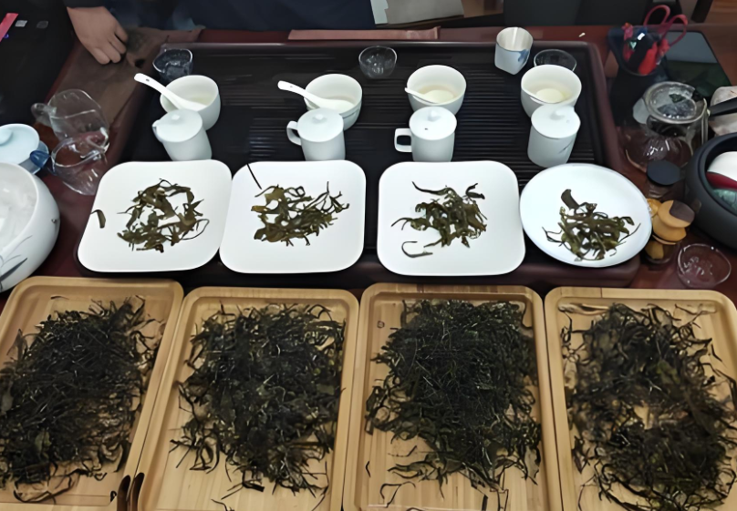 斗茶是什么文化(斗茶对茶文化发展的影响)