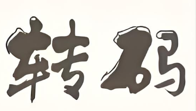 转码是什么意思(转码的挑战与应对策略)