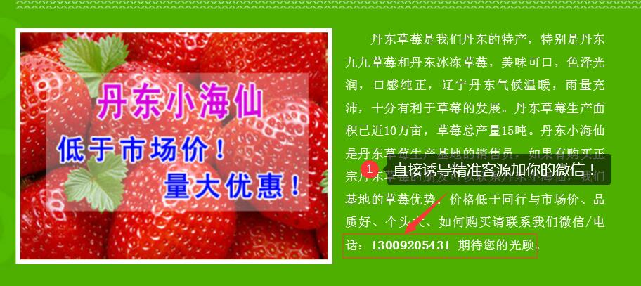 百度搜索 - 精准客源！