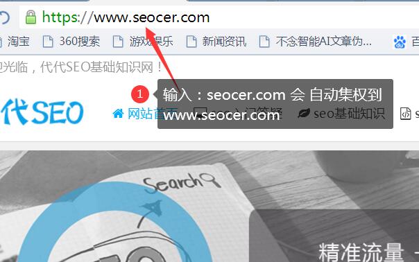 网站域名集权