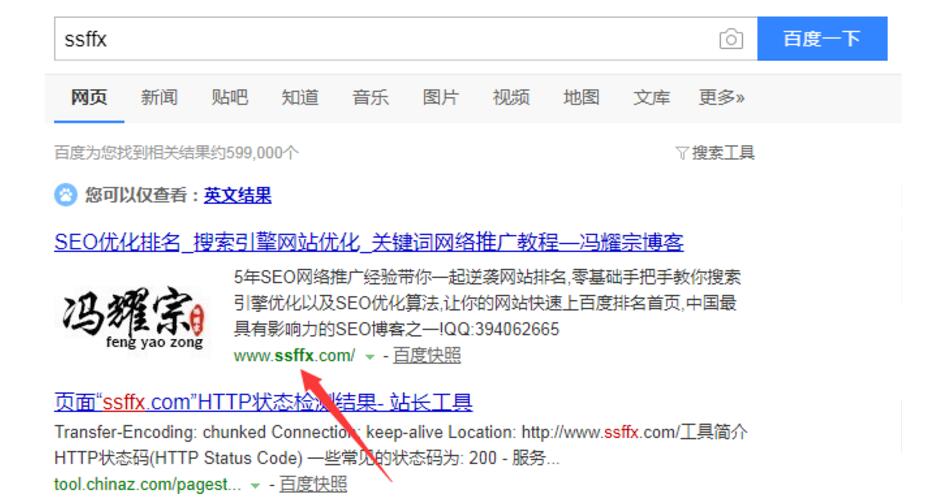 域名作为关键词的识别