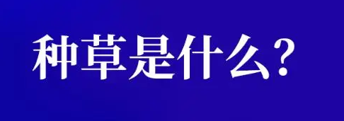 种草的网络是什么意思(种草和安利区别) 种草的网络是什么意思(种草和安利区别)