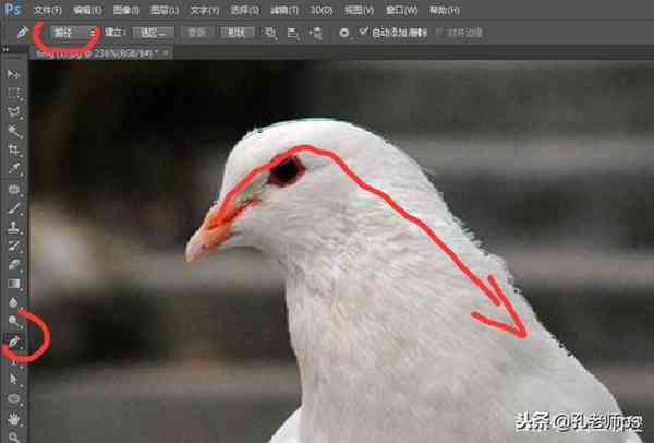 ps钢笔工具怎么使用，怎么抠图？这一篇文章讲透彻了！