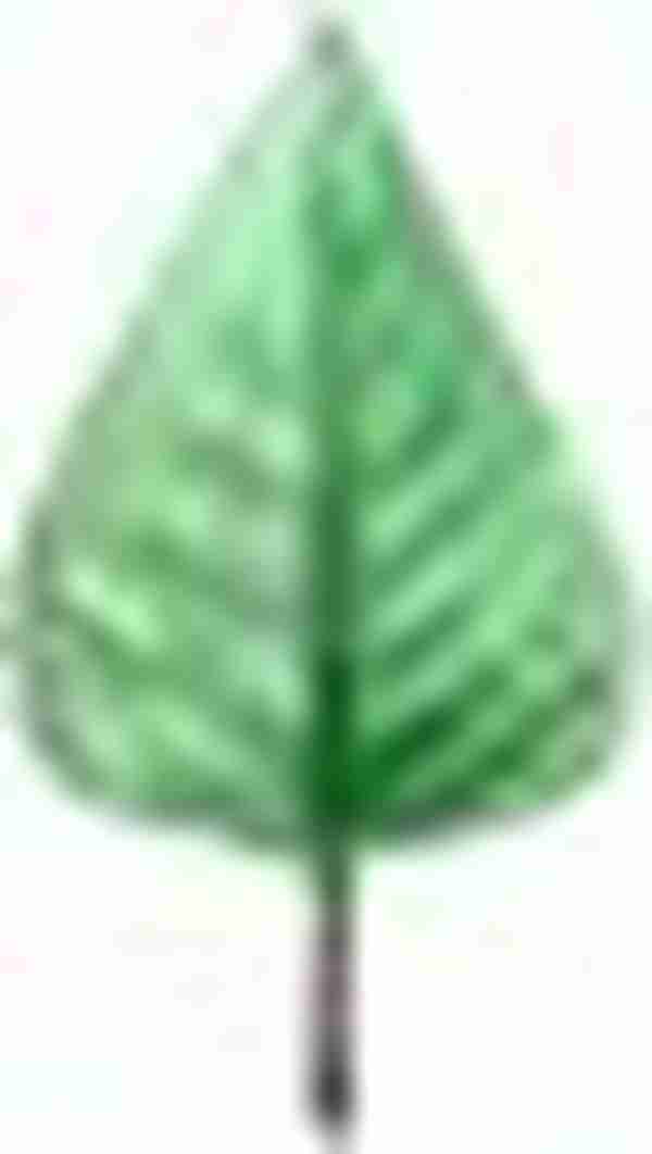 荐读｜雾霾天如何保护自己