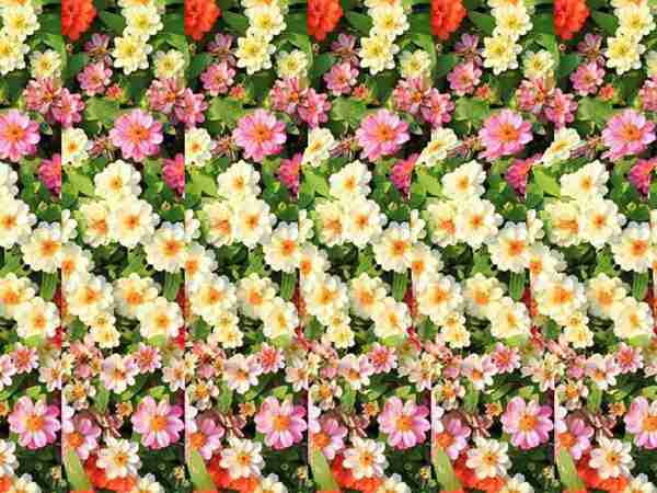 一招学会秒看三维立体图