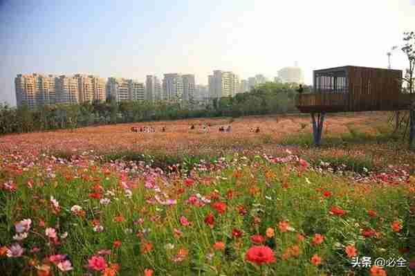 园林植物景观设计之各类型绿地植物设计