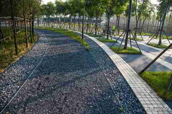 园林植物景观设计之各类型绿地植物设计