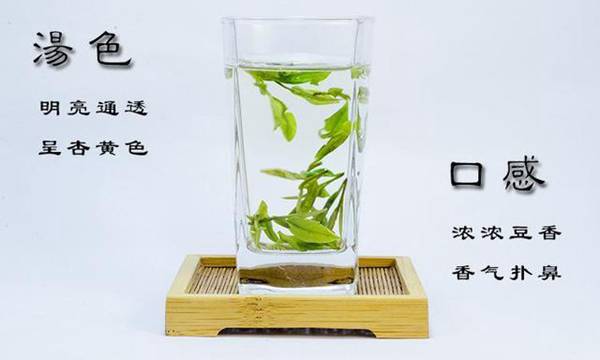 中国绿茶品类大全?绿茶的头道茶喝还是不喝?绿茶的效果与作用?