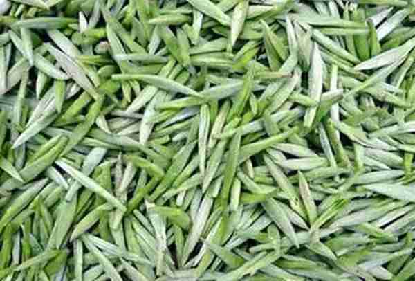 中国绿茶品类大全?绿茶的头道茶喝还是不喝?绿茶的效果与作用?