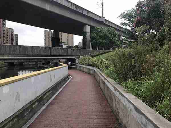 「设计」：上海南翔“金地格林世界”社区彩虹通道 | 最美回家路