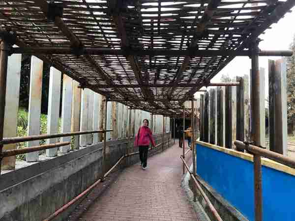 「设计」：上海南翔“金地格林世界”社区彩虹通道 | 最美回家路