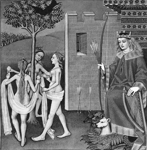 黑漆漆的乌鸦,为何魅力这么大?