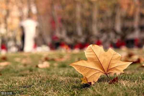 生活中最重要的事情是什么(健康是最重要的)