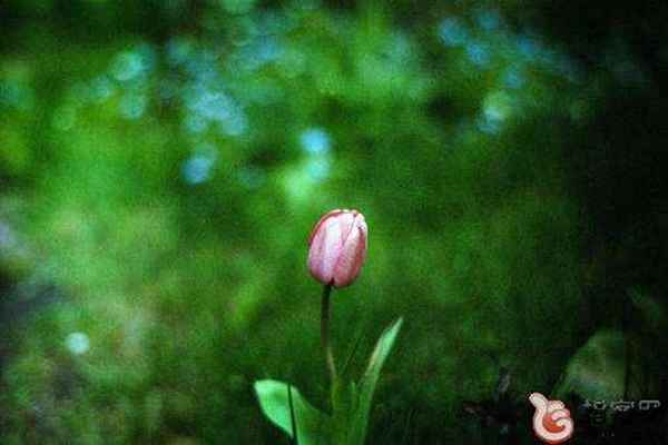 学会淡定从容，才能做生活强者，更能让人折服