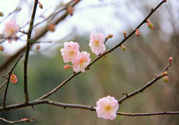 学会淡定从容，才能做生活强者，更能让人折服