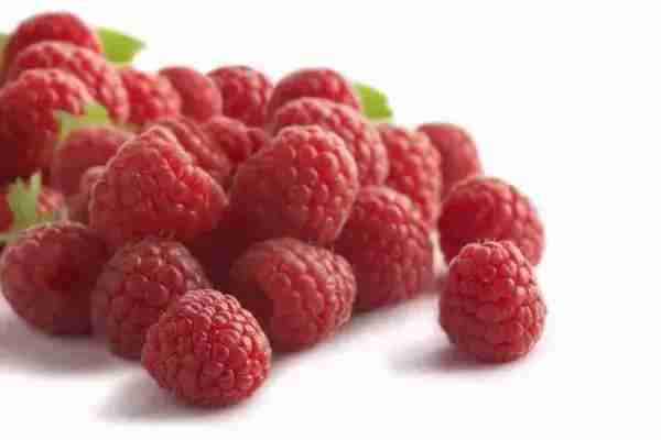 树莓是个什么鬼？为何那么多人喜欢吃？