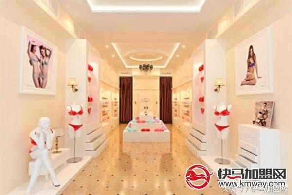 什么品牌内衣质量好(国内内衣牌子哪些比较好)