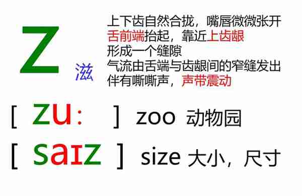 48个英语音标怎么读？这套音标卡片真清楚！