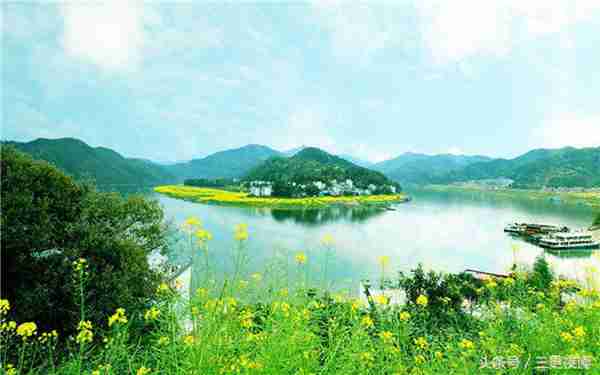 有太多的事情身不由己,有太多的无奈心不得已