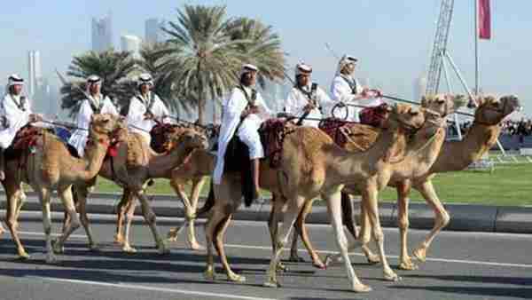 生活在全球最富有的城市,迪拜人平时都吃什么?网友:穷是病!