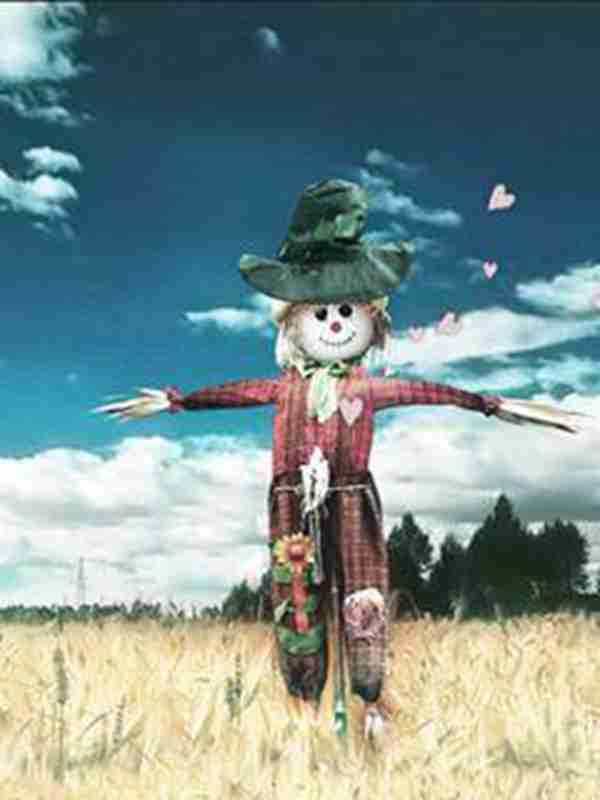 乌鸦为什么是黑色的?好悲伤的故事看哭了