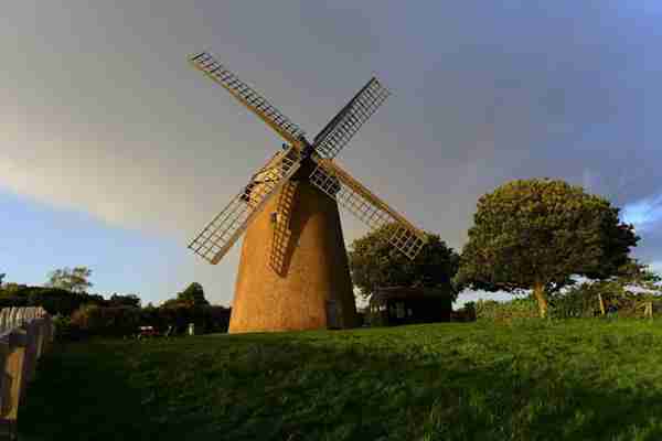 乌鸦为什么是黑色的?好悲伤的故事看哭了