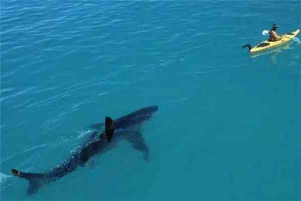 深海恐惧症是什么原因引起的 深海恐惧症的症状表现