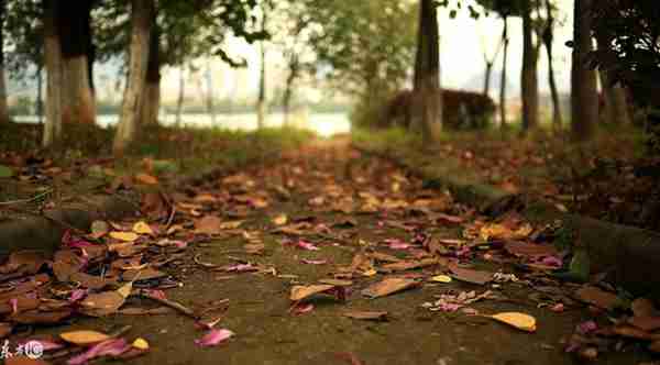 失意是什么意思(人生最大的失意是什么呢)