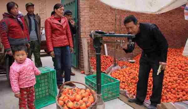 创业不如回农村,这8个赚钱好项目有干头,任意一个都比打工强!