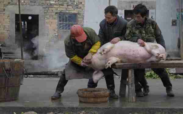 农村创业好项目(乡镇空缺生意)