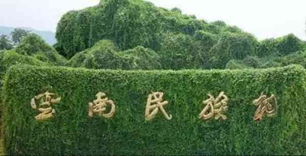 昆明可玩的地方不多，但这几个地方确实值得去