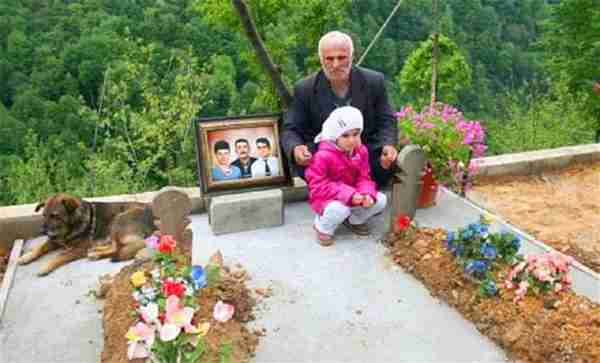 世界上最忠诚的九只狗狗,忠犬八公只是其中之一,泪湿透了眼眶!