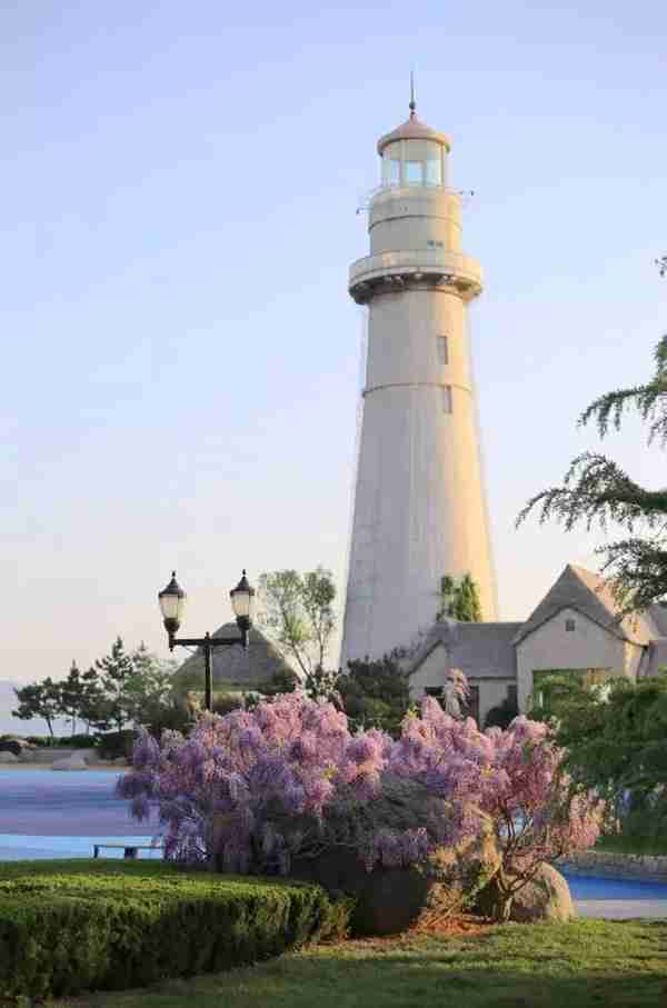 杜鹃紫藤正艳!来威海尽赏姹紫嫣红