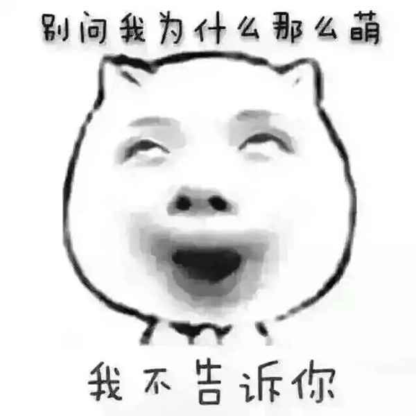 2月19日是什么星座(十二星座运势解析)