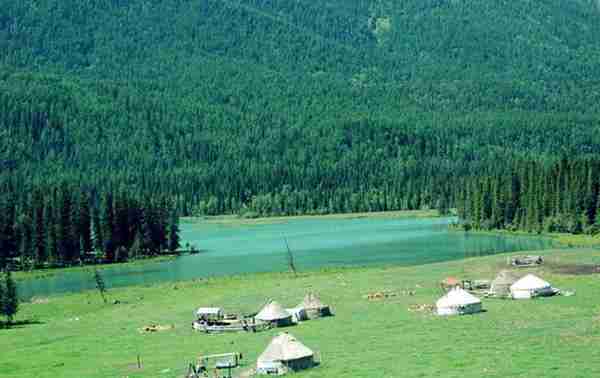 新疆切糕太贵?来看看真正的新疆切糕是什么样子的!