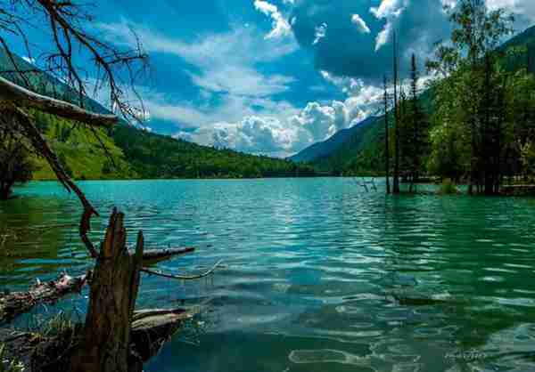 新疆切糕太贵?来看看真正的新疆切糕是什么样子的!