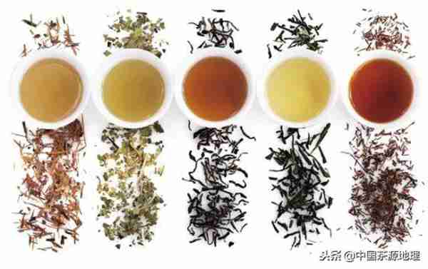 普洱茶属于什么茶类(普洱茶知识分享)