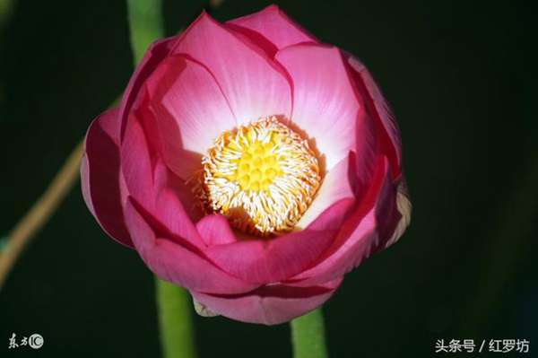 结婚十年后是什么样的婚姻?