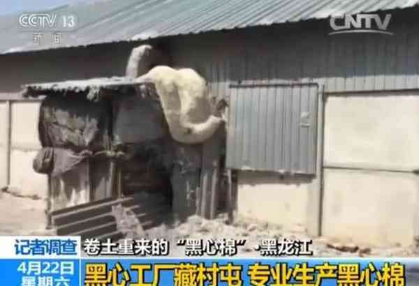 调查|旧被褥、医疗垃圾成原料 “黑心棉被”在一些地方居然进了商场