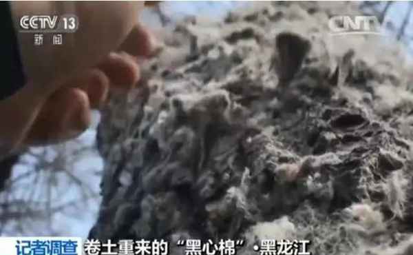 调查|旧被褥、医疗垃圾成原料 “黑心棉被”在一些地方居然进了商场