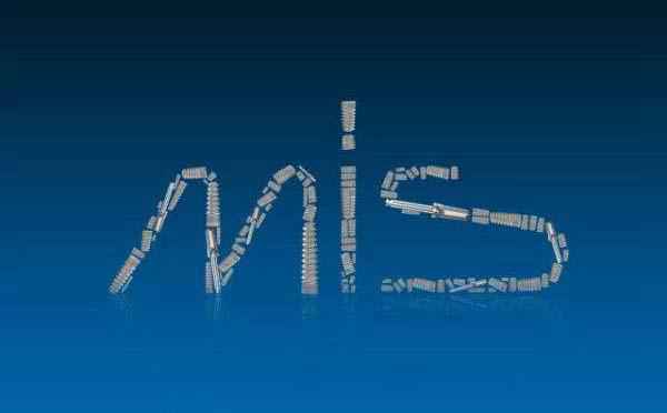 ERP、MIS、都是什么意思